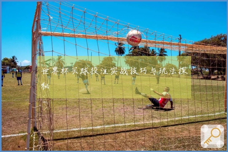 世界杯买球投注实战技巧与玩法探秘
