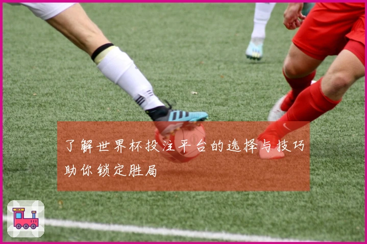 了解世界杯投注平台的选择与技巧助你锁定胜局