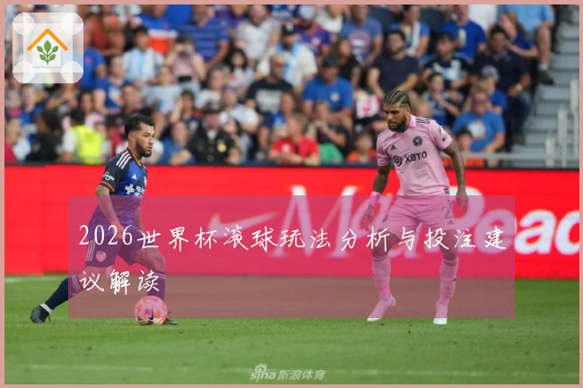 2026世界杯滚球玩法分析与投注建议解读