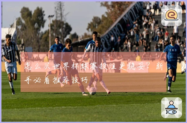 怎么买世界杯球赛投注更稳妥？新手必看推荐技巧