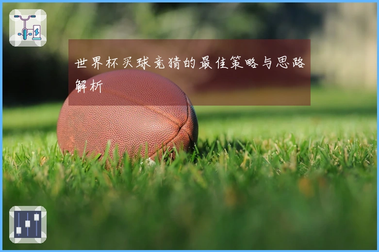 世界杯买球竞猜的最佳策略与思路解析
