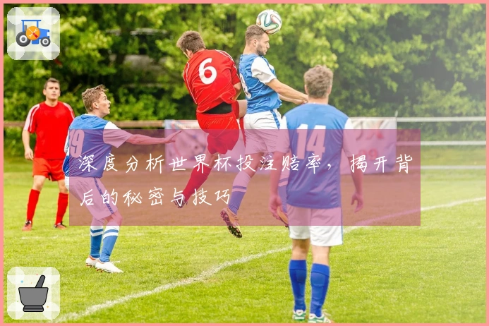 深度分析世界杯投注赔率，揭开背后的秘密与技巧
