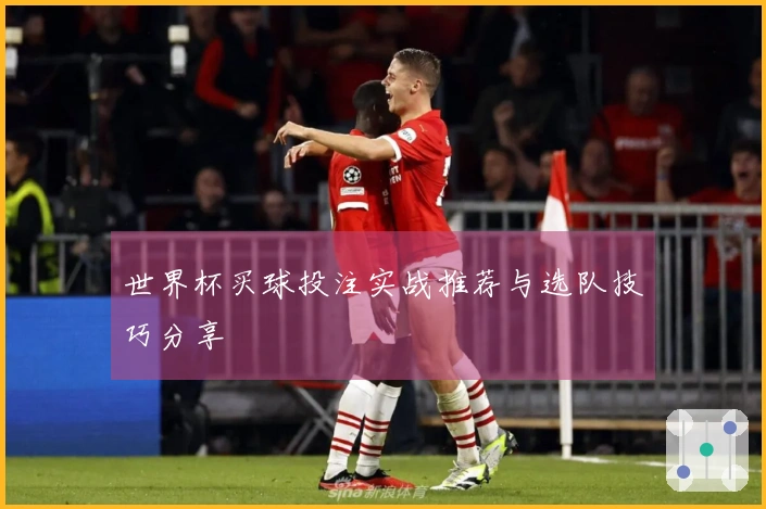世界杯买球投注实战推荐与选队技巧分享