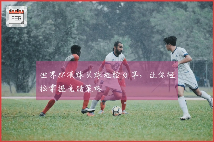 世界杯滚球买球经验分享，让你轻松掌握竞猜策略