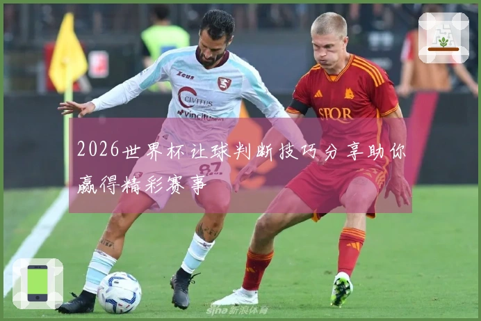 2026世界杯让球判断技巧分享助你赢得精彩赛事