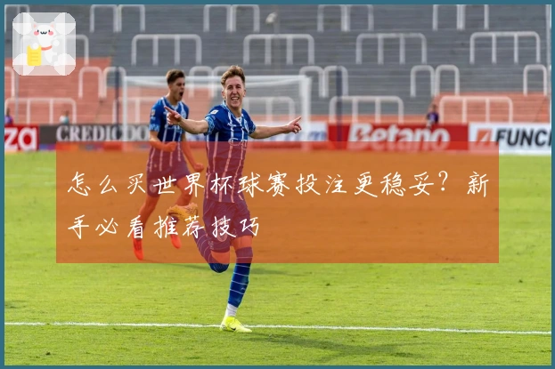 怎么买世界杯球赛投注更稳妥？新手必看推荐技巧