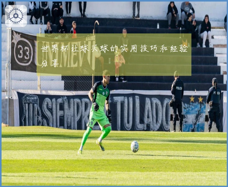 世界杯让球买球的实用技巧和经验分享