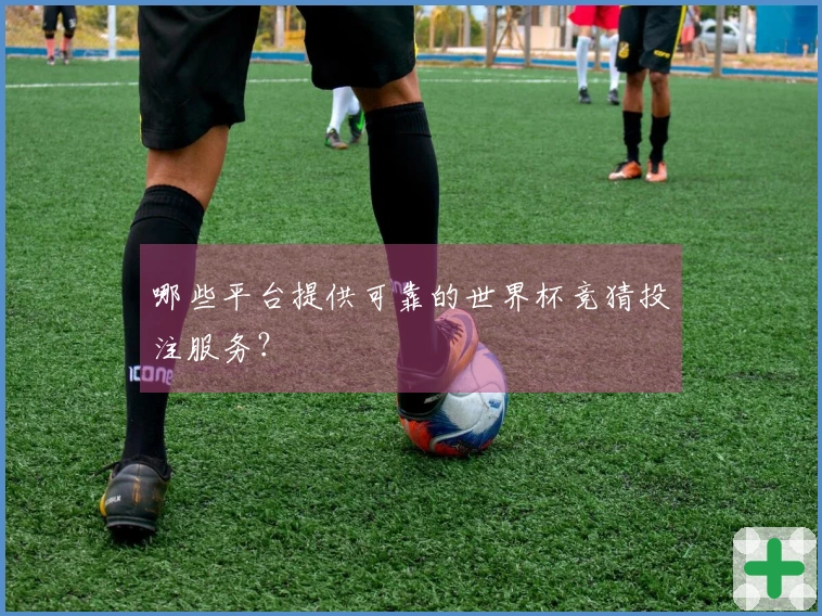 哪些平台提供可靠的世界杯竞猜投注服务？
