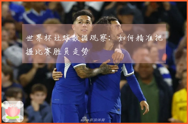 世界杯让球数据观察：如何精准把握比赛胜负走势