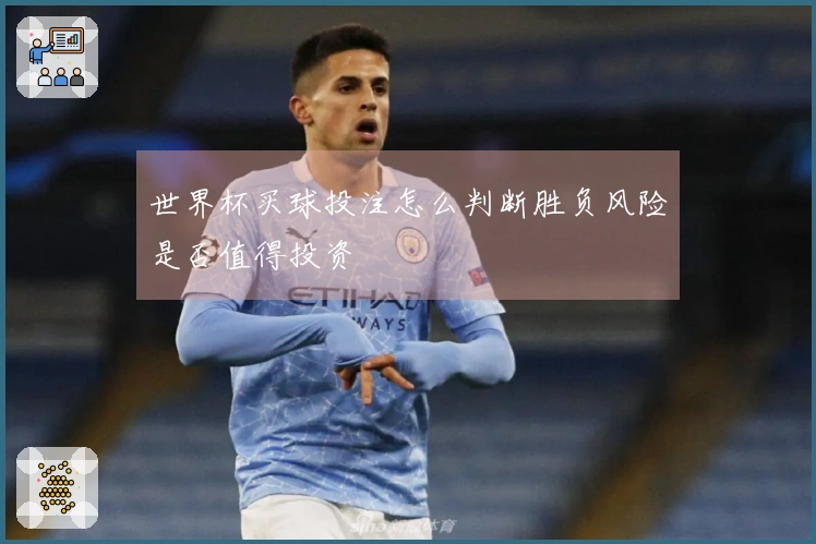 世界杯买球投注怎么判断胜负风险是否值得投资