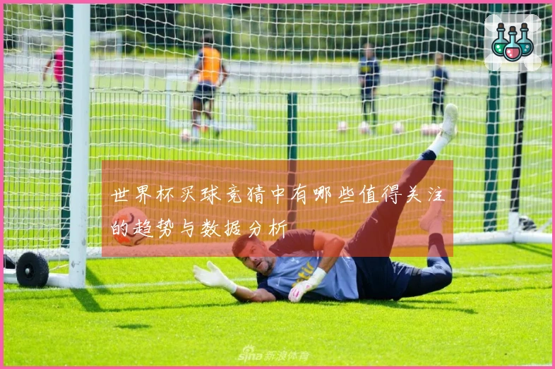 世界杯买球竞猜中有哪些值得关注的趋势与数据分析