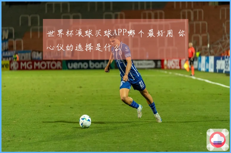 世界杯滚球买球APP哪个最好用 你心仪的选择是什么