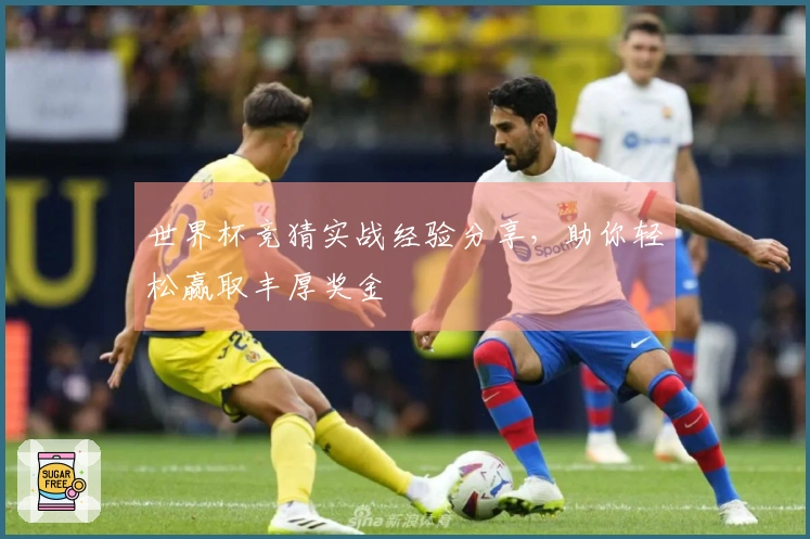 世界杯竞猜实战经验分享，助你轻松赢取丰厚奖金