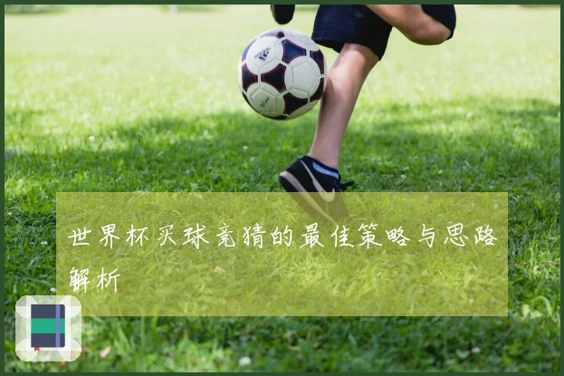 世界杯买球竞猜的最佳策略与思路解析
